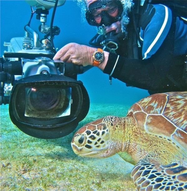 海底攝影師David Hannan拍攝大海龜鏡頭