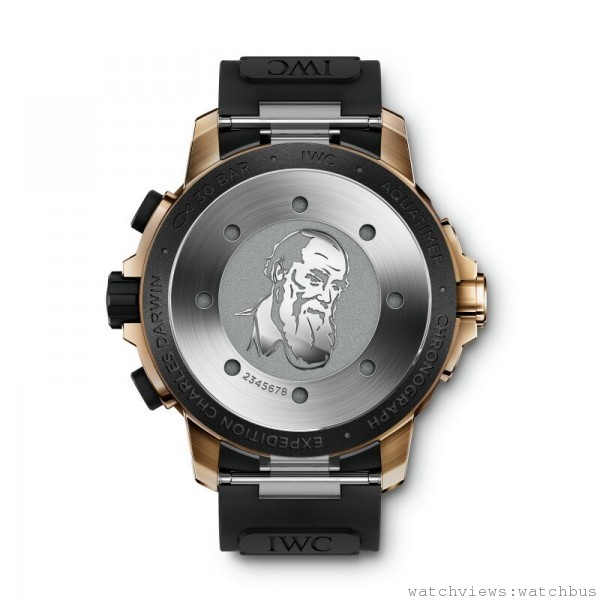 IWC海洋時計計時腕錶「達爾文探險之旅」特別版的錶底鐫刻有栩栩如生的達爾文頭像，正是他的進化論永遠改變了人類的思維方式