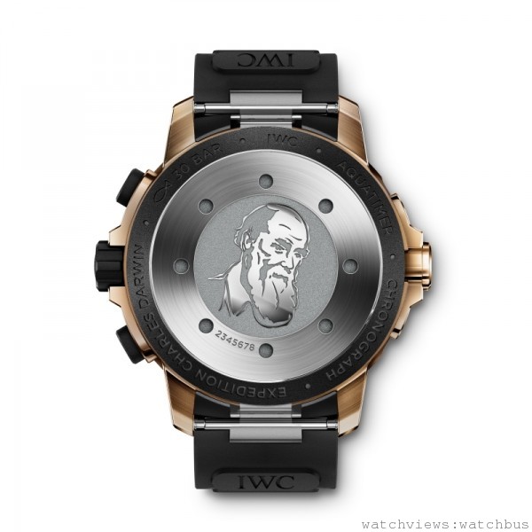 海洋時計計時腕錶「達爾文探險之旅」特別版（型號IW379503），錶背鐫刻有達爾文肖像。