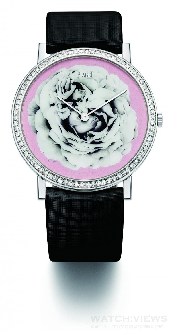 Piaget Altiplano Rose Miniature微繪琺瑯腕錶，18K白金錶殼，錶圈鑲鑽，錶徑38毫米，大明火及微繪琺瑯面盤，時、分顯示，430P手動上鍊機芯，絹質錶帶附針扣，限量1只。