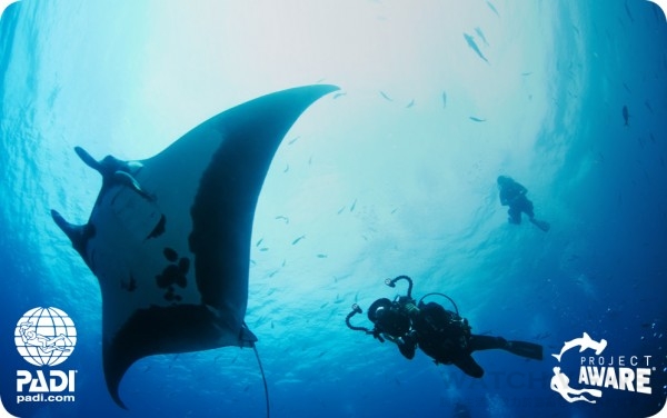 Project AWARE「海洋環保計畫」是號召全世界的水肺潛水人員共同響應保護海洋環境的一項全球性活動。